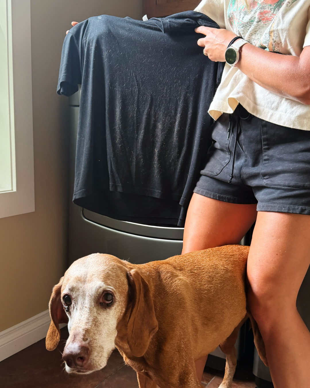 Woman holding up clean black shirt with dog by the dryer